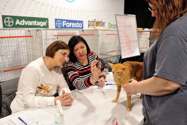 Мацама нови кров (ФОТО)